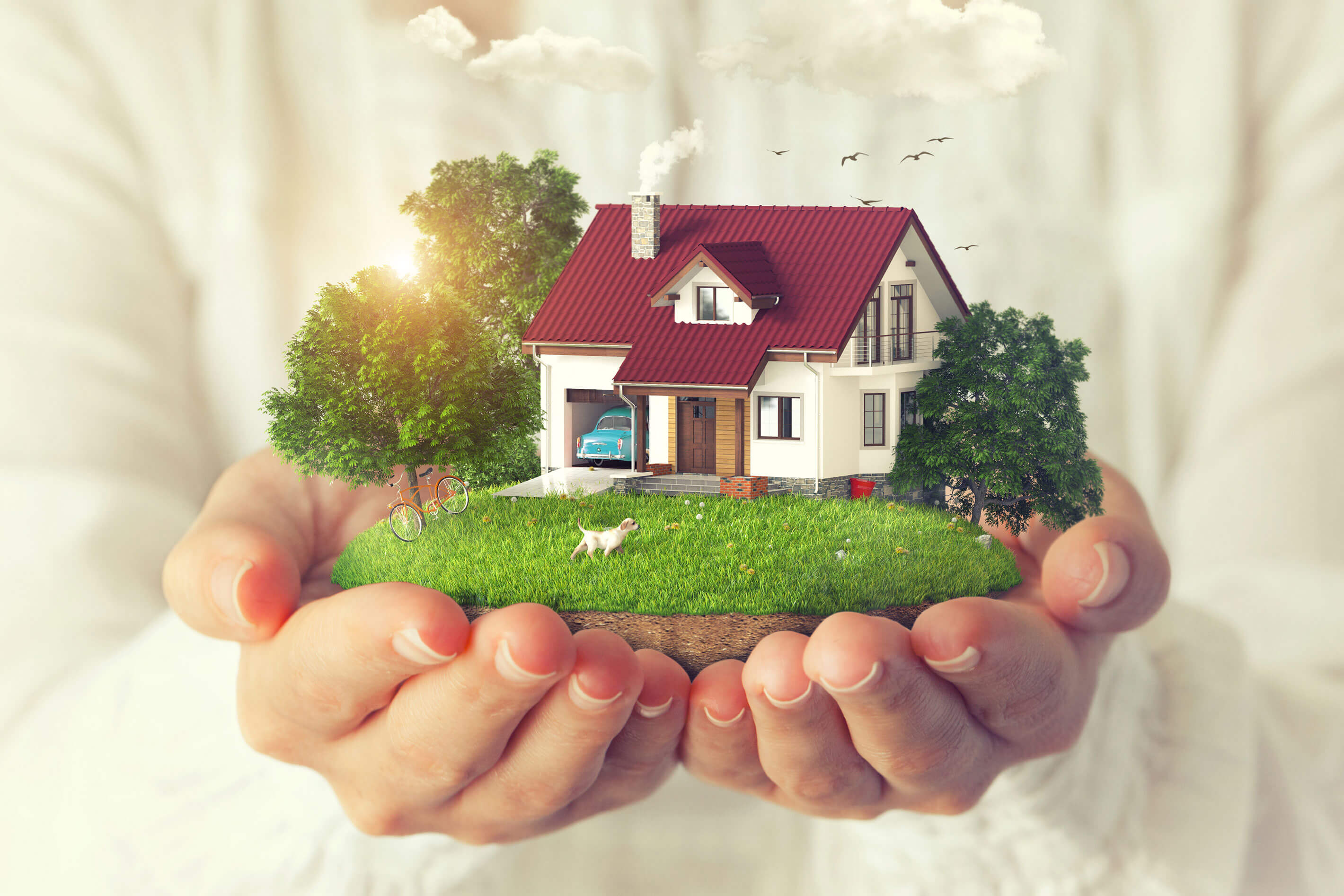 Win Your Dream Car & House Win Your Dream Car & House