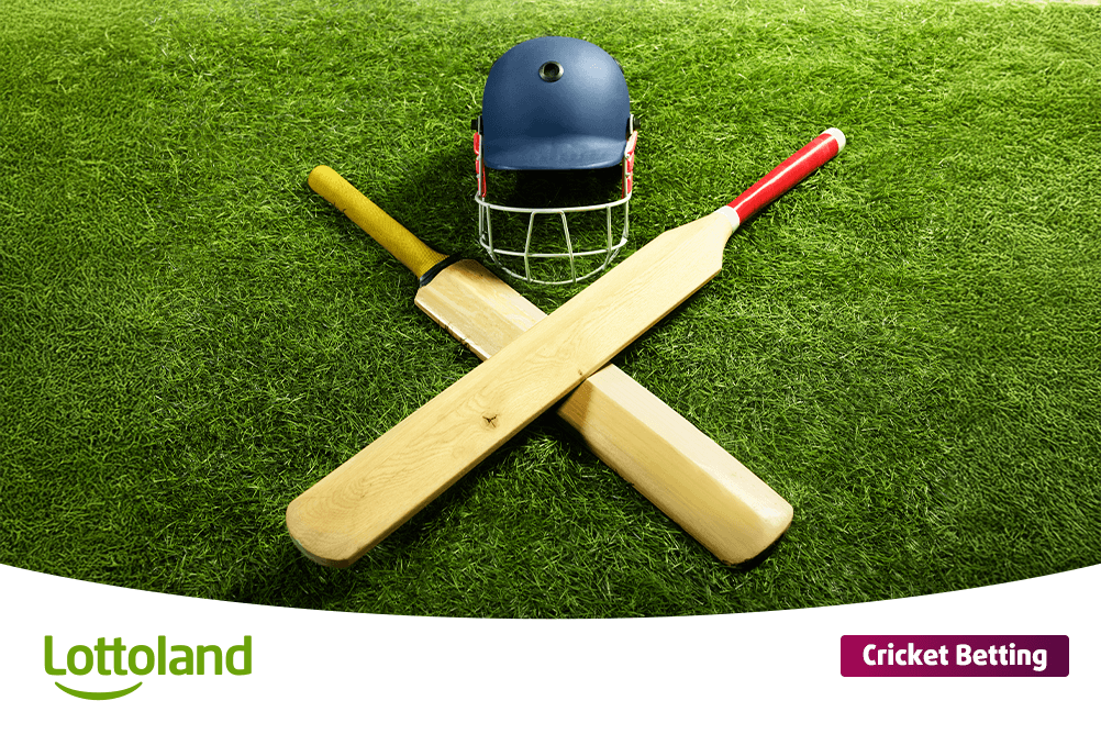 Cricket Bats and Cricket Helmet 